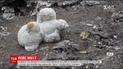 The Insider і Bellingcat знайшли генерала РФ, який може бути причетний до катастрофи "Боїнга"
