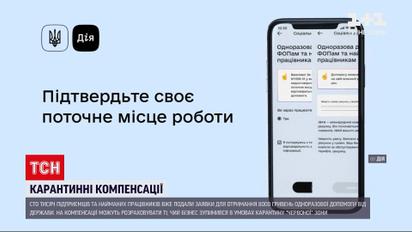 Новости Украины: 100 тысяч ФЛП уже подали заявки на получение карантинной помощи от государства