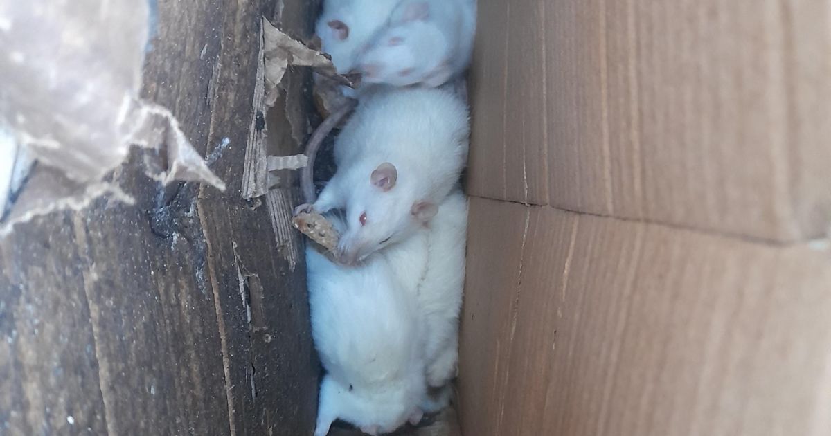 Фото: сообщество "Озеро солнечный" в Facebook