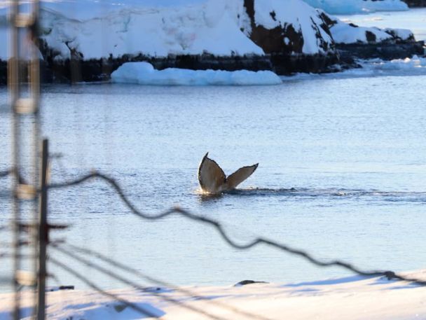  / © Національний антарктичний науковий центр