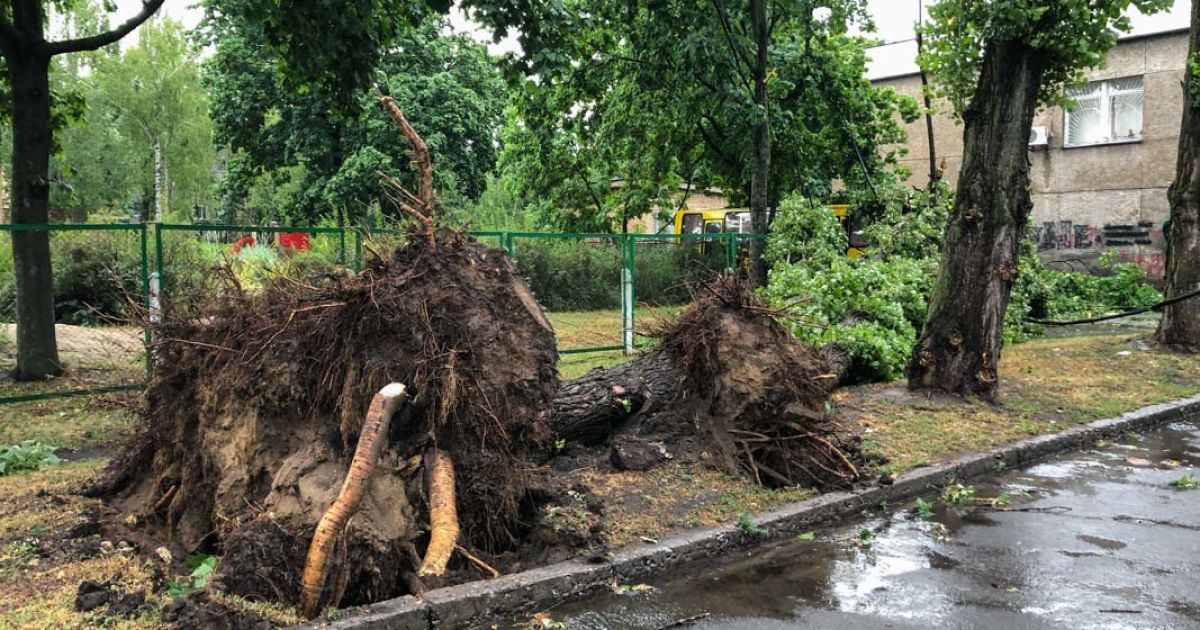 В Киеве не утихает стихия: синоптики предупредили о новых грозах