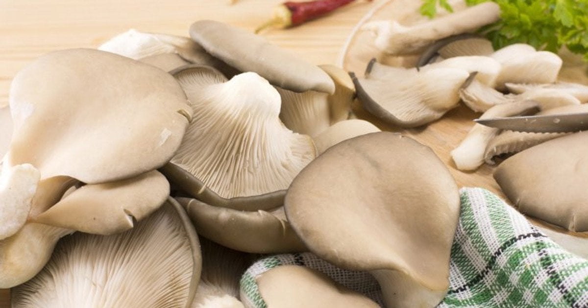 Как приготовить вешенки