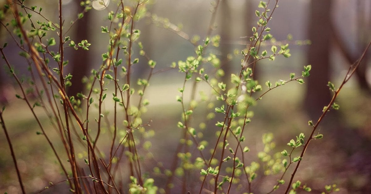 До України повертається тепло