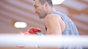 Владимир Кличко завершает подготовку к бою против Фьюри. Фото:michaelsterlingeaton.com / © Фейсбук Владимира Кличко