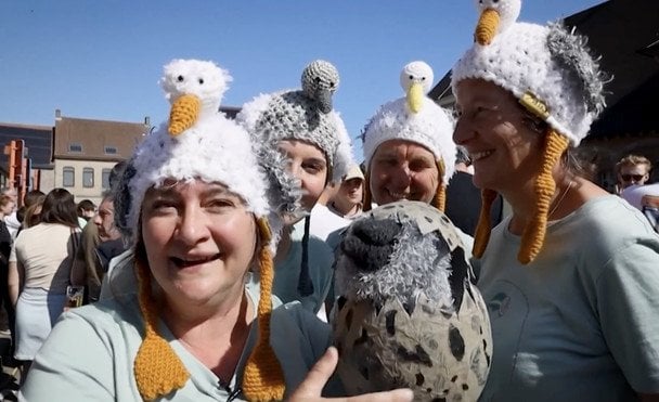 Учасники чемпіонату