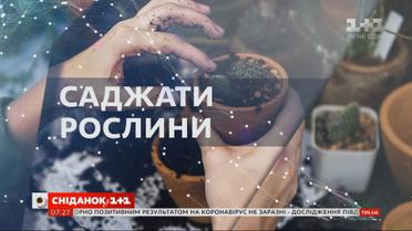 Астрологический прогноз на 20 мая 2020 года