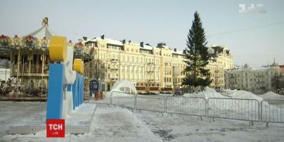 Ялинку-рекордсменку з Прикарпаття вже встановили в столиці