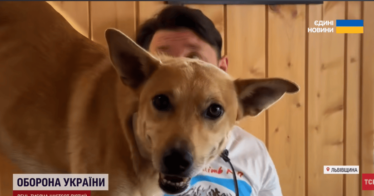 Пес Спіді