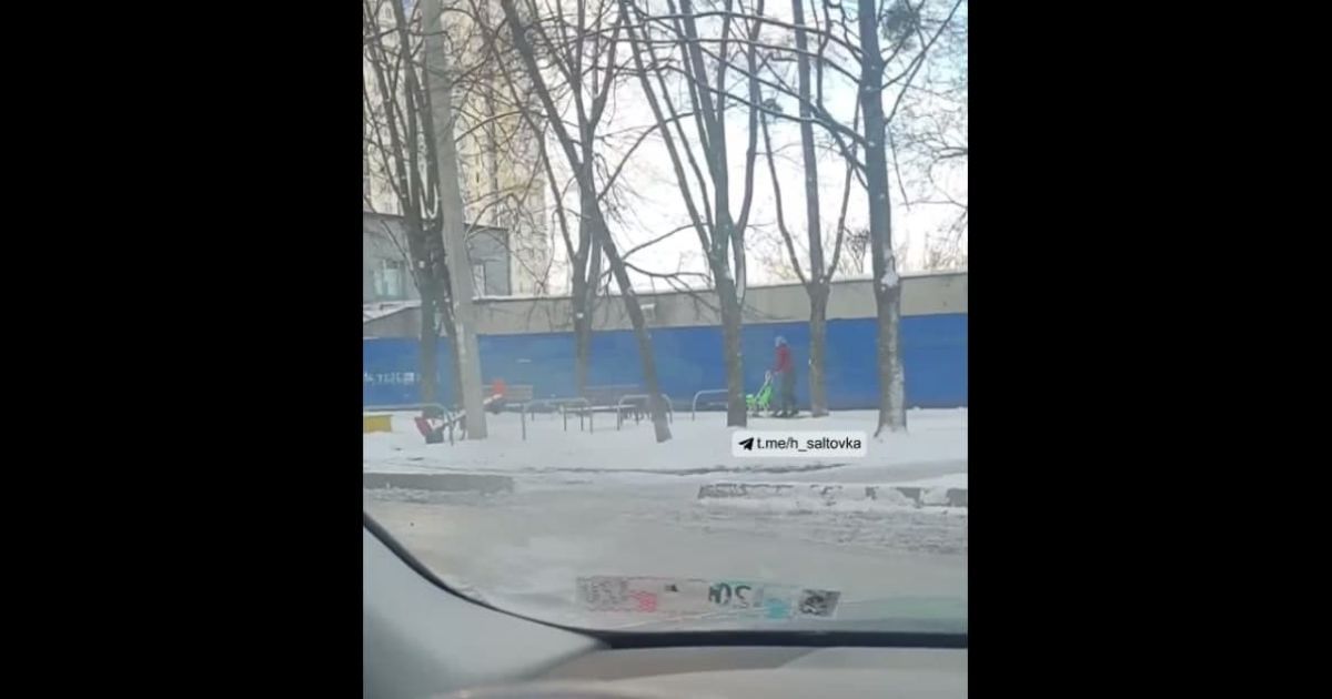 У Харкові жінка запрягла собак у санчата і проїхалася з вітерцем засніженими вулицями (відео)