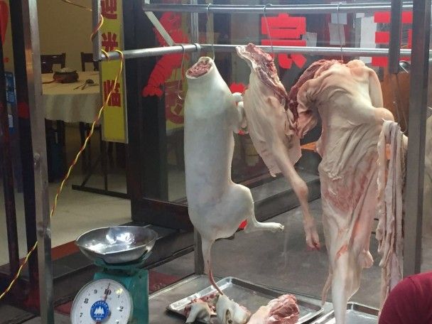 Зліва &ndash; туша собаки / © фото: Тетяна Лазарчук