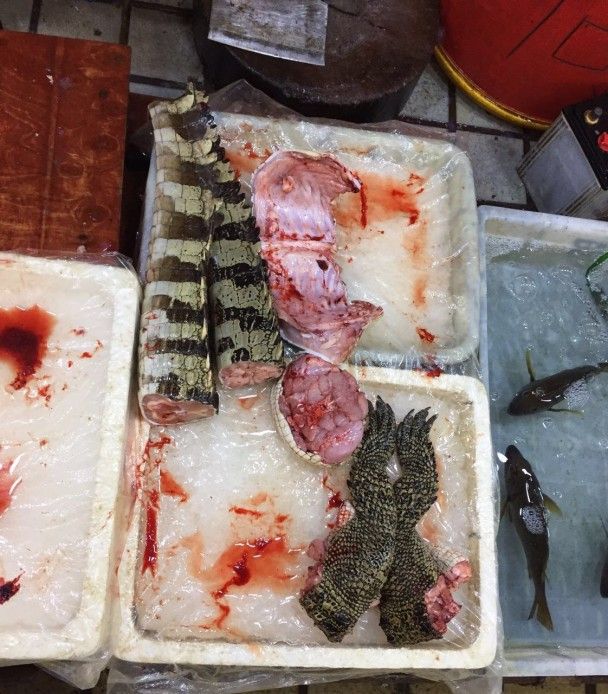 На рибному ринку можна зустріти частини чи то крокодила, чи то алігатора / © фото: Тетяна Лазарчук