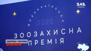Спасают жизнь четвероногих: в Украине ввели специальную премию для волонтеров