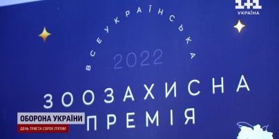 Спасают жизнь четвероногих: в Украине ввели специальную премию для волонтеров