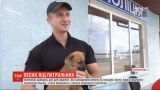 В Винницкой области полицейские ищут хозяев четырем щенкам