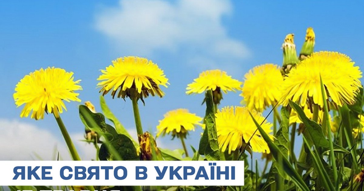 Яке свято 13 травня 2025 року Яке свято 13 травня 2025 року