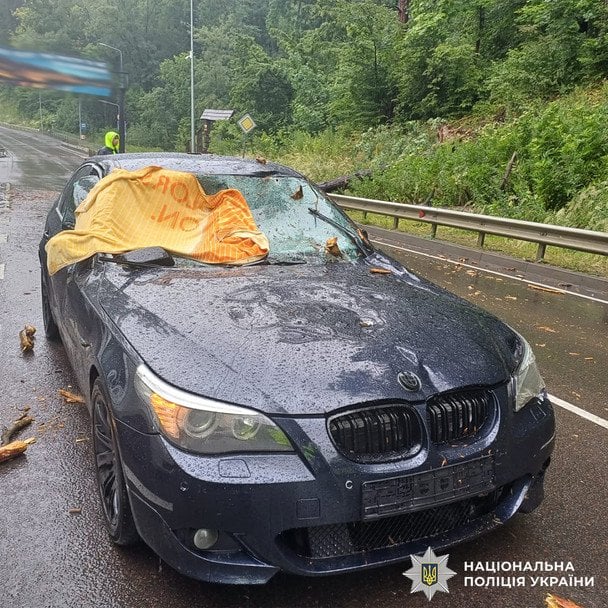 Недалеко от Львова на BMW упало дерево. / © Национальная полиция Украины