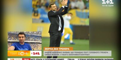 Ігор Циганик прокоментував заяву Шевченка про завершення контракту з українською збірною