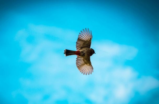Народные приметы 19 июня / © Unsplash
