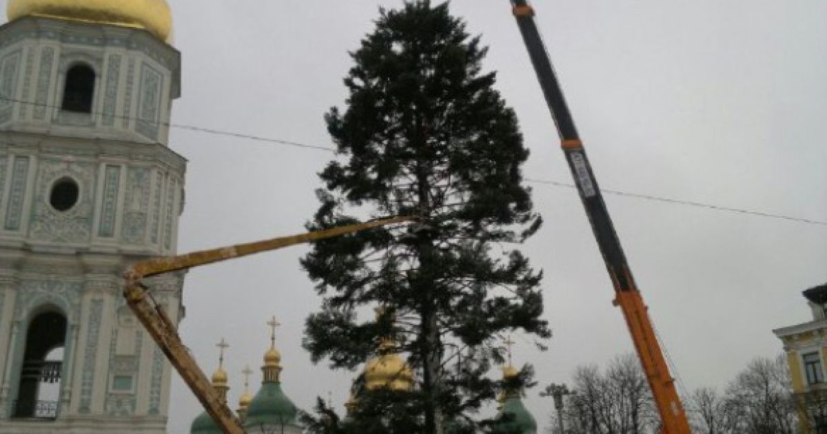 елка 2018