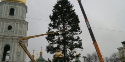 "Лысое бревно": пользователи соцсетей поглумились над главной елкой страны 