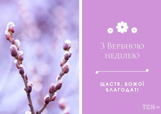 Привітання з Вербною неділею / © ТСН.ua