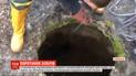 У Львівській області рятувальники діставали з каналізаційного колодязя двох бобрів