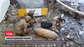 Во время строительства парка в итальянском городе Больцано обнаружили бомбу времен Второй мировой