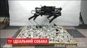 Китайские инженеры разработали робота-собаку, которым можно управлять через Wi-Fi