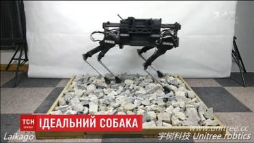 Китайские инженеры разработали робота-собаку, которым можно управлять через Wi-Fi