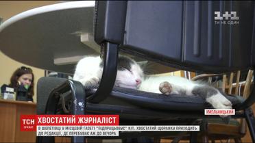 В Шепетовке кот "подрабатывает" в местной газете