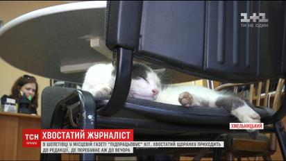 У Шепетівці кіт "підпрацьовує" у місцевій газеті