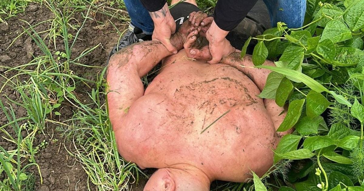 Задержание одного из охранников нардепа Николая Тищенко
