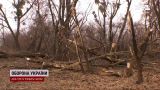 С ноги достали обломок ракеты размером с ладонь – в каком состоянии пострадавшие из Киева