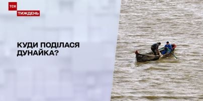 Дунайская селедка что это. Смотреть фото Дунайская селедка что это. Смотреть картинку Дунайская селедка что это. Картинка про Дунайская селедка что это. Фото Дунайская селедка что это