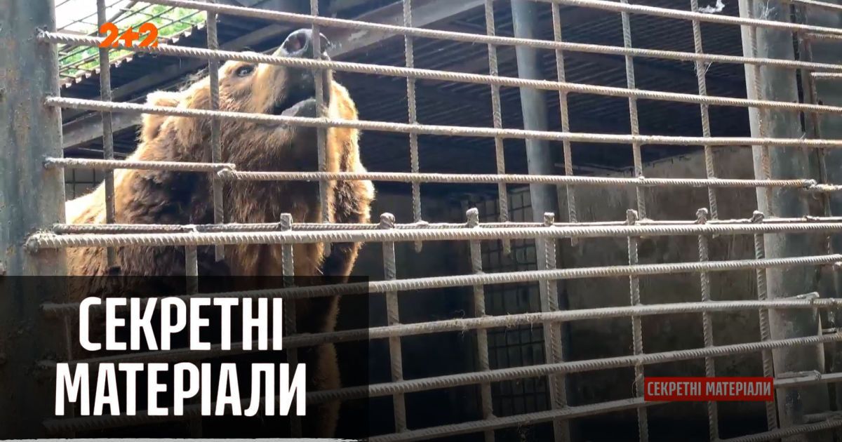 Як виглядає зоопарк, який належить "Укрзалізниці" — "Секретні матеріали"