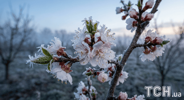 До України сунуть полярний холод та заморозки: синоптик назвав точну дату різкого похолодання