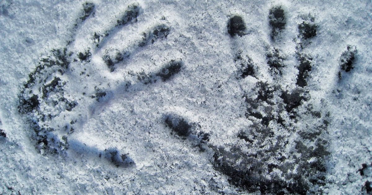 Вибрався з води, але замерз у яру: на Буковині загинув чоловік