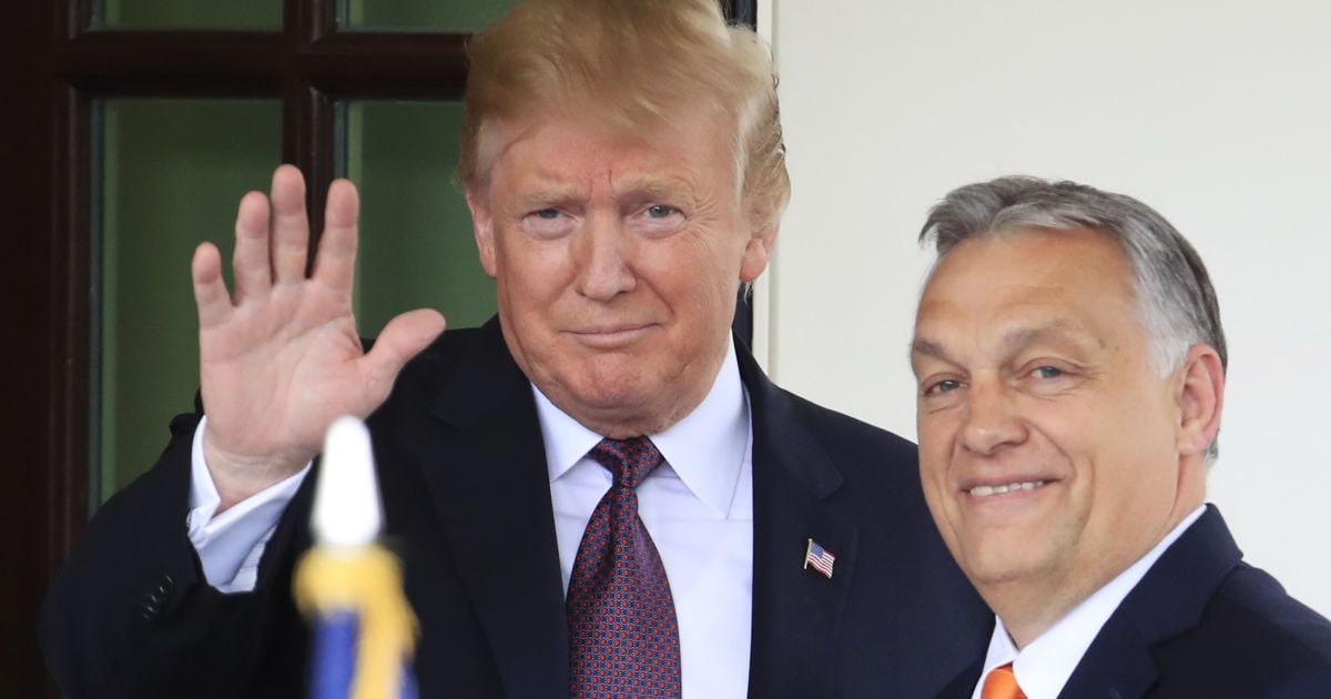 Дональд Трамп і Віктор Орбан