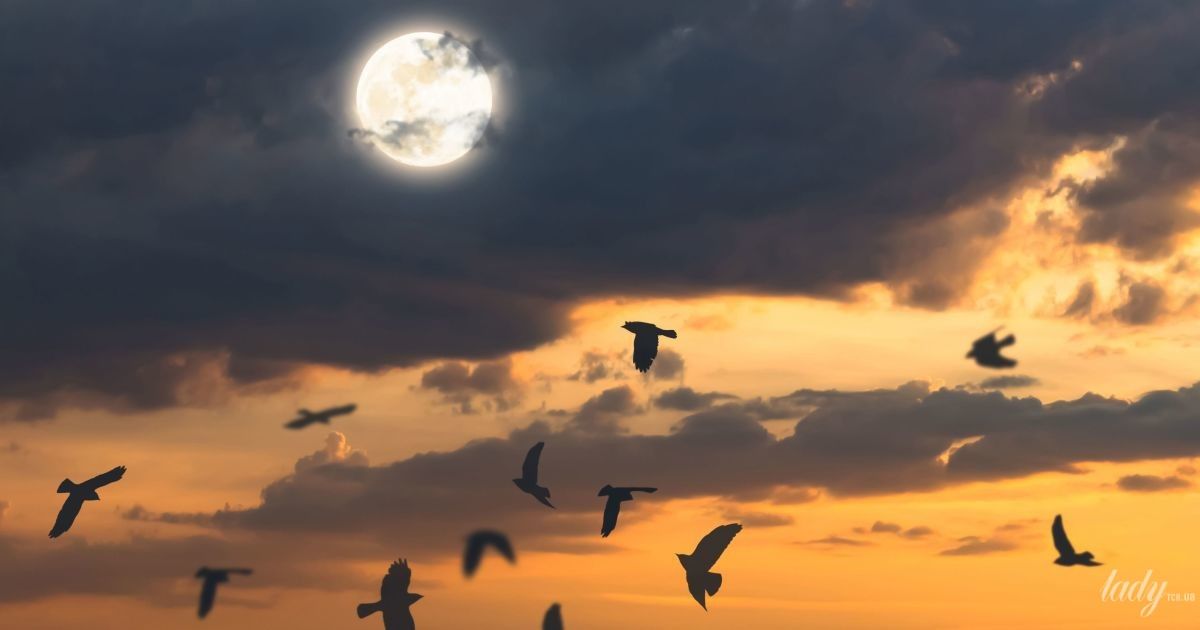 Гороскоп на 3 ноября для всех знаков Зодиака