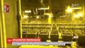 Полиция разоблачила плантацию марихуаны, которую мужчина прятал под собственной ванной комнатой