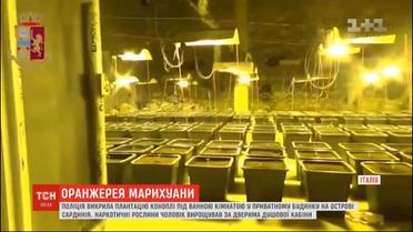 Полиция разоблачила плантацию марихуаны, которую мужчина прятал под собственной ванной комнатой