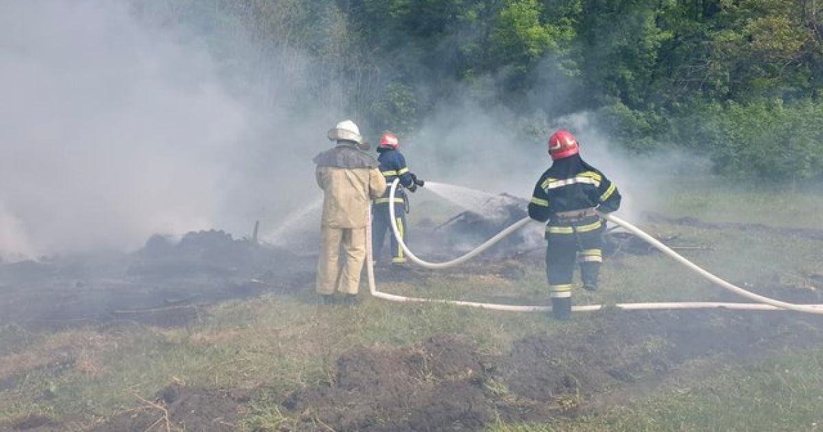 Пожежу в природній екосистемі у Вишгородському районі локалізовано