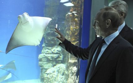 10 самых интересных фактов из жизни Путина от журналиста президентского пула