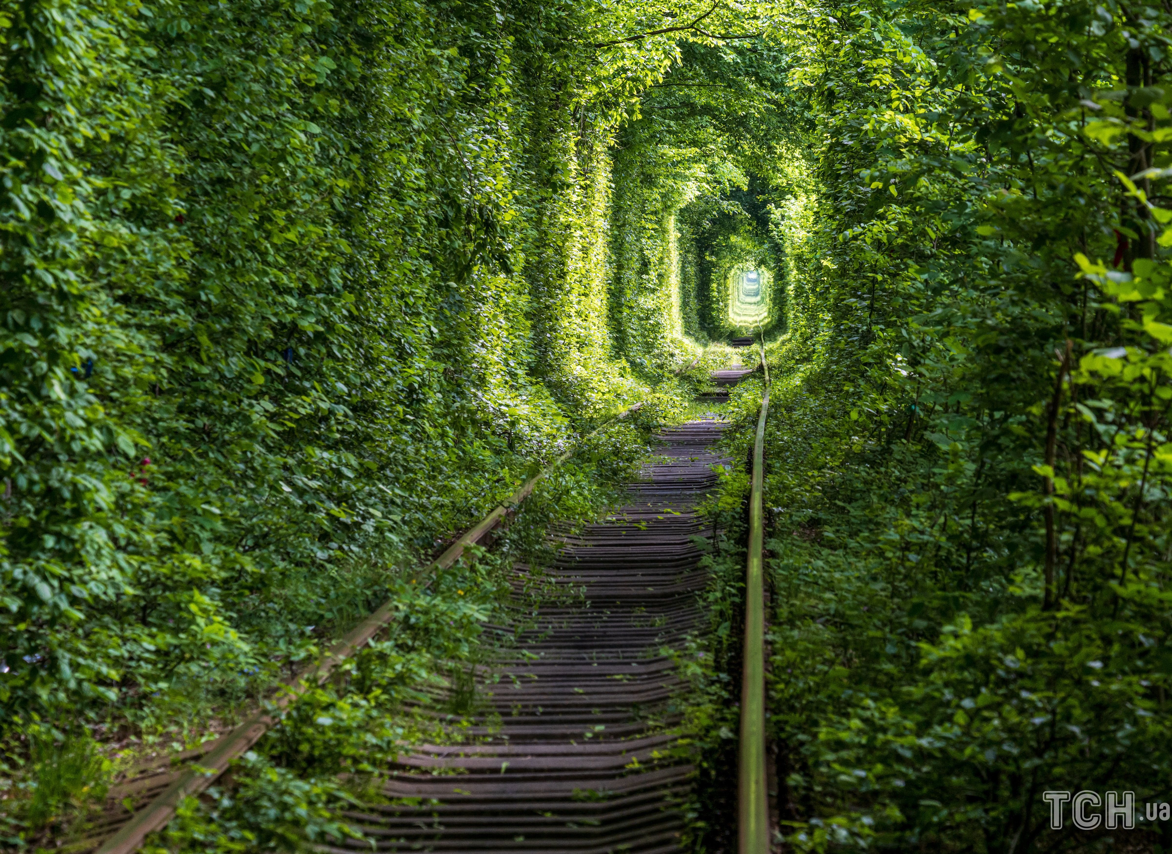 Туннель любви / © Getty Images