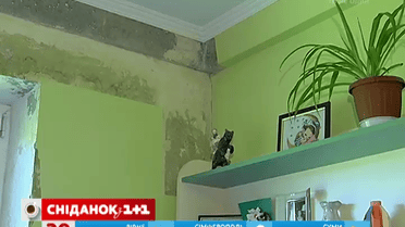 Як позбутися плісняви в домі