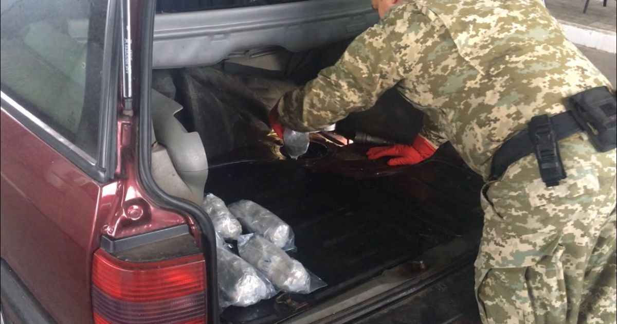 Пес нашел наркотики на границе