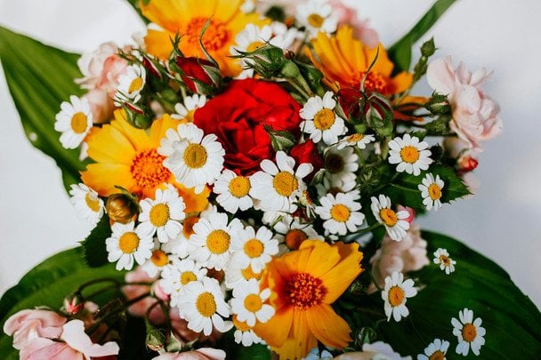 День ангела 15 липня — душевні привітання в прозі / © unsplash.com