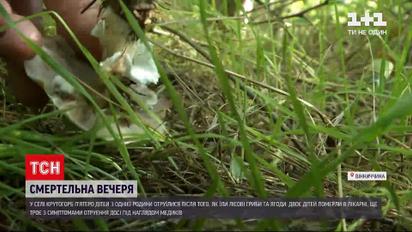 Новини України: у Вінницькій області 5 дітей отруїлися грибами