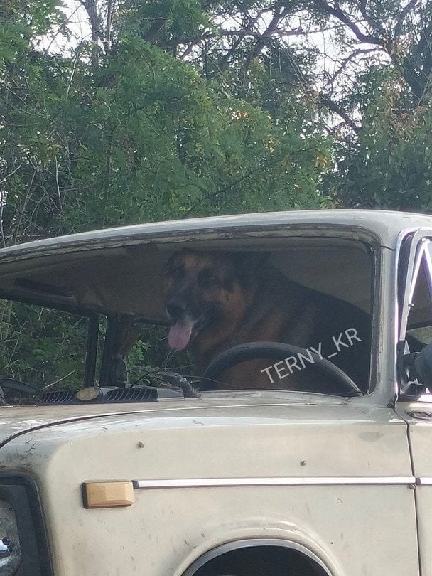 ДТП у Кривому Розі. / © соцмережі