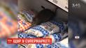 У Рівному покупці побачили щура, який сидів на пакетах із молоком у супермаркеті